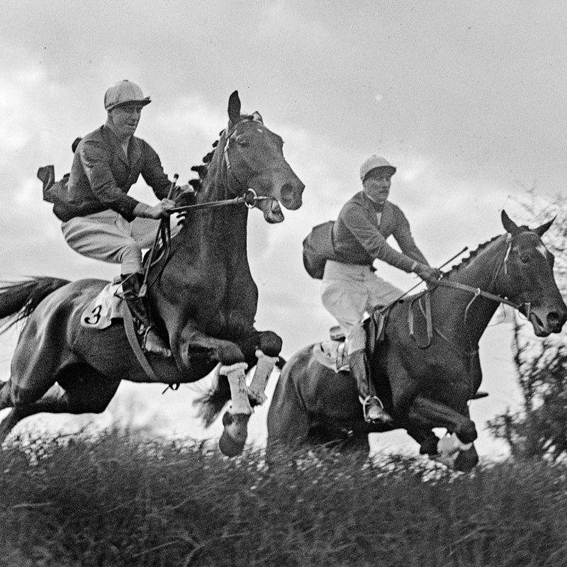 Point to Point - Leaping Horses