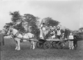 Horse Drawn Parade 'Float'