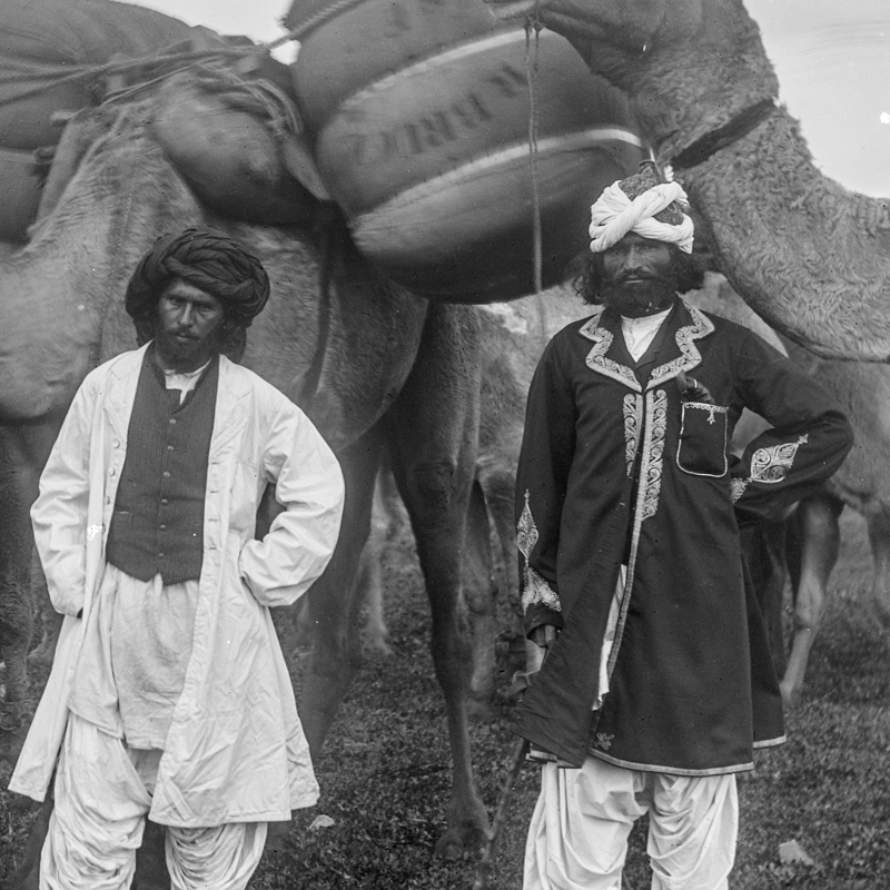 Group of Men with Camels and Cargo