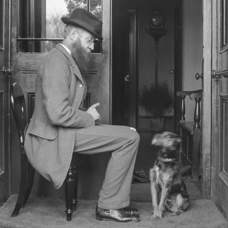 Teaching a Dog to Sit