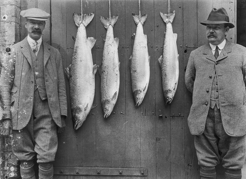 Gentlemen with River Salmon