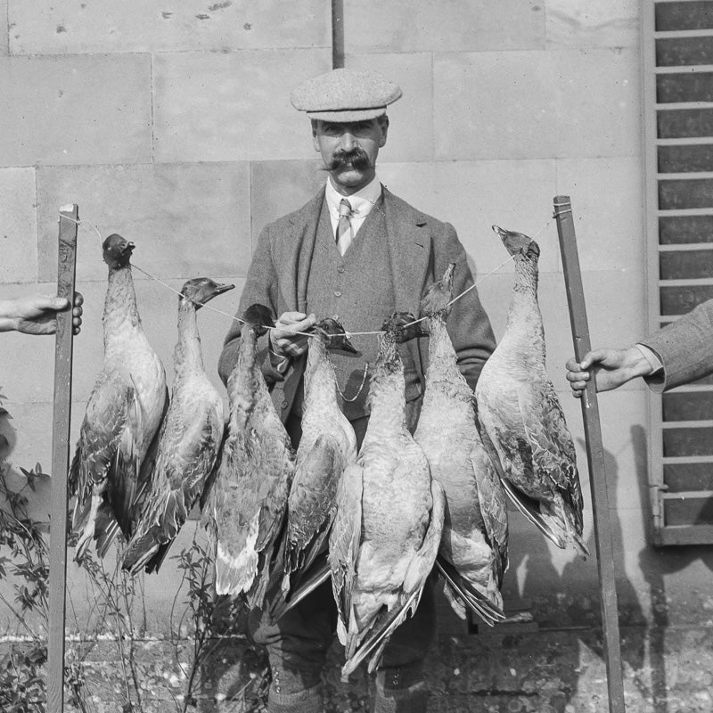 Three Gentlemen with Ducks