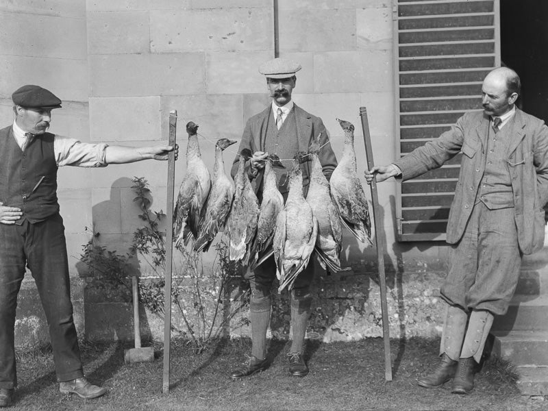 Three Gentlemen with Ducks