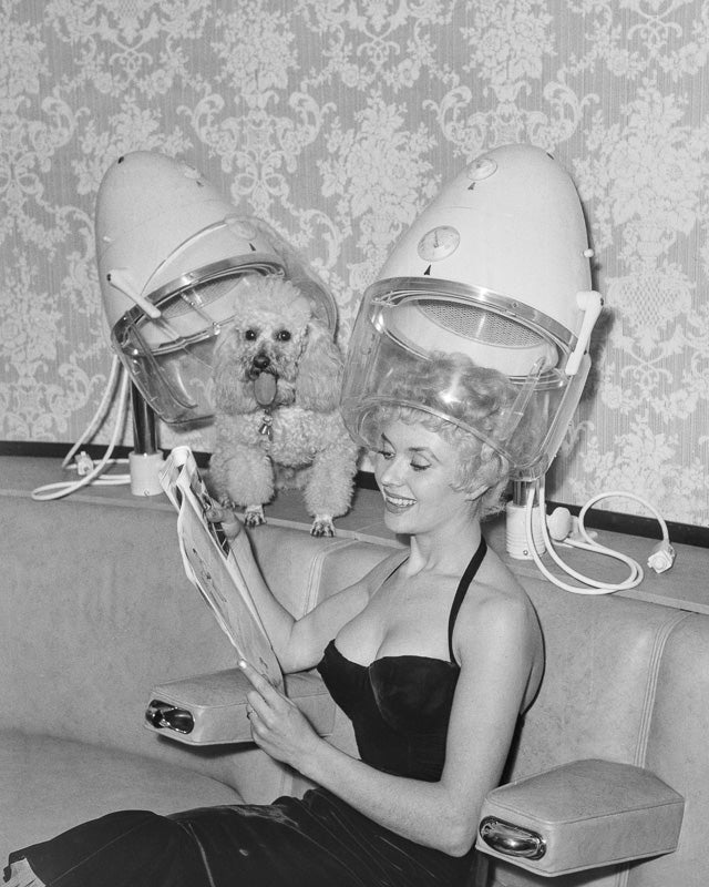 Vera Day at the Hairdressers with Canine Companion
