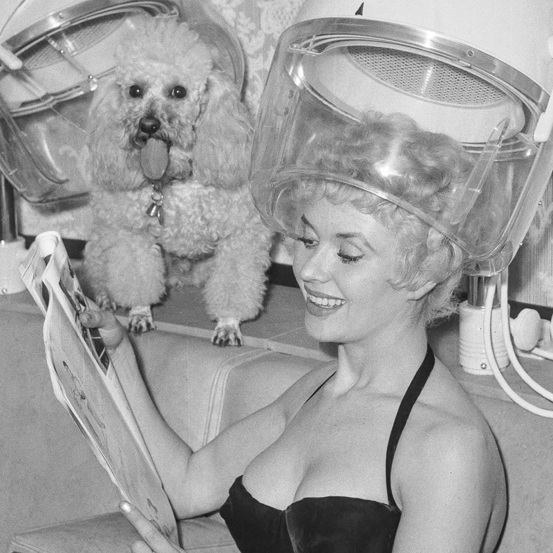 Vera Day at the Hairdressers with Canine Companion