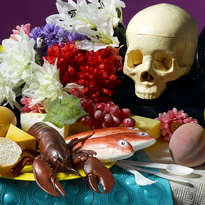 Plastic Vanitas
